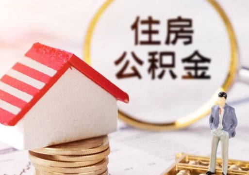醴陵个人的住房公积金怎么提取（个人如何提取住房公积金的钱）